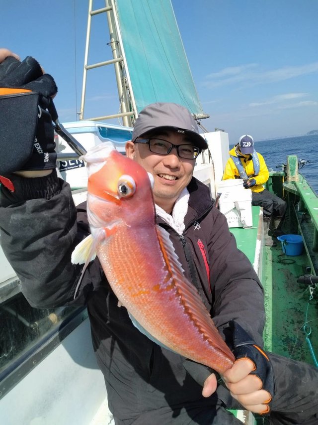 アマダイ(アカアマダイ)