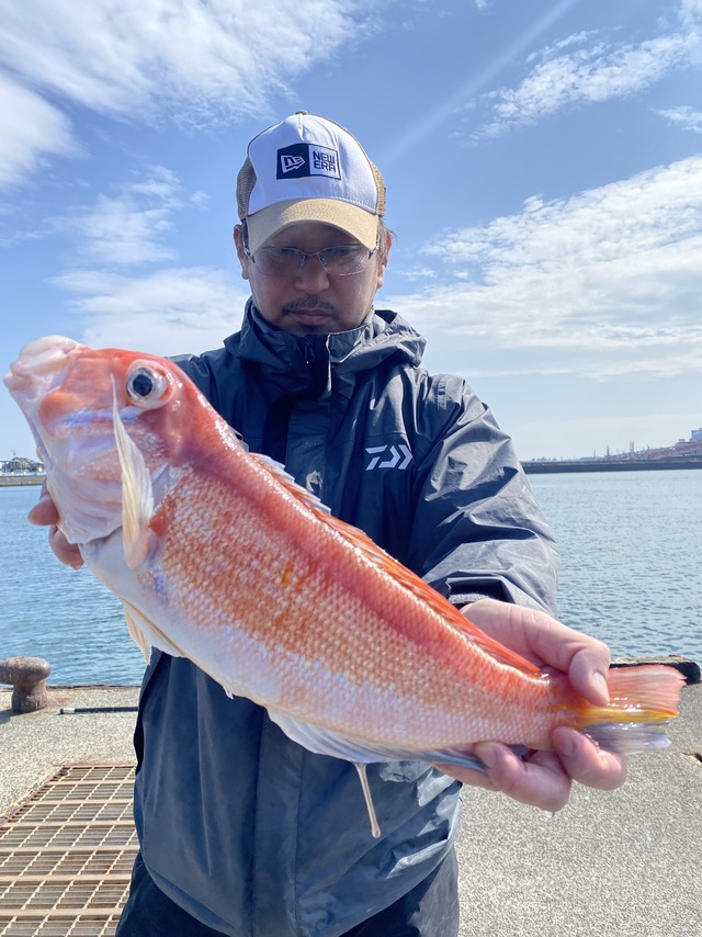 アマダイ(アカアマダイ)