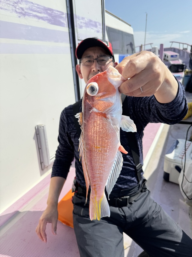 アマダイ(アカアマダイ)