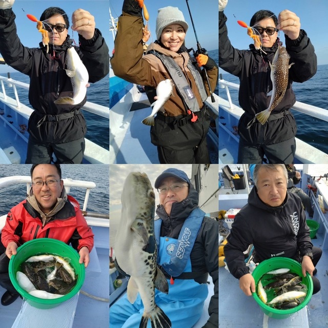 ショウサイフグ