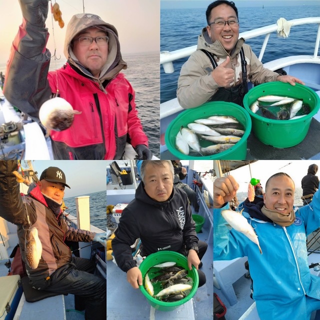 ショウサイフグ