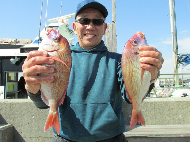 ハナダイ(チダイ)