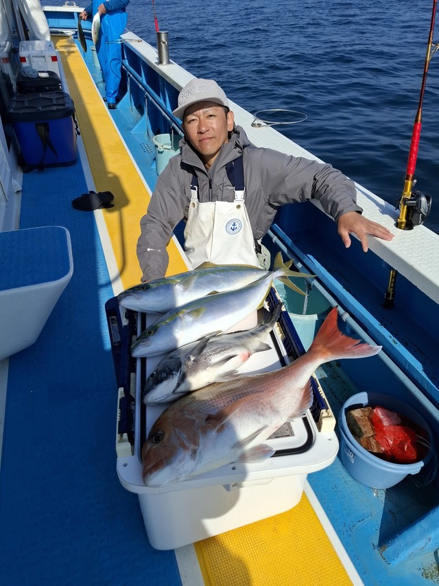 マダイ・イナダ(ブリ)