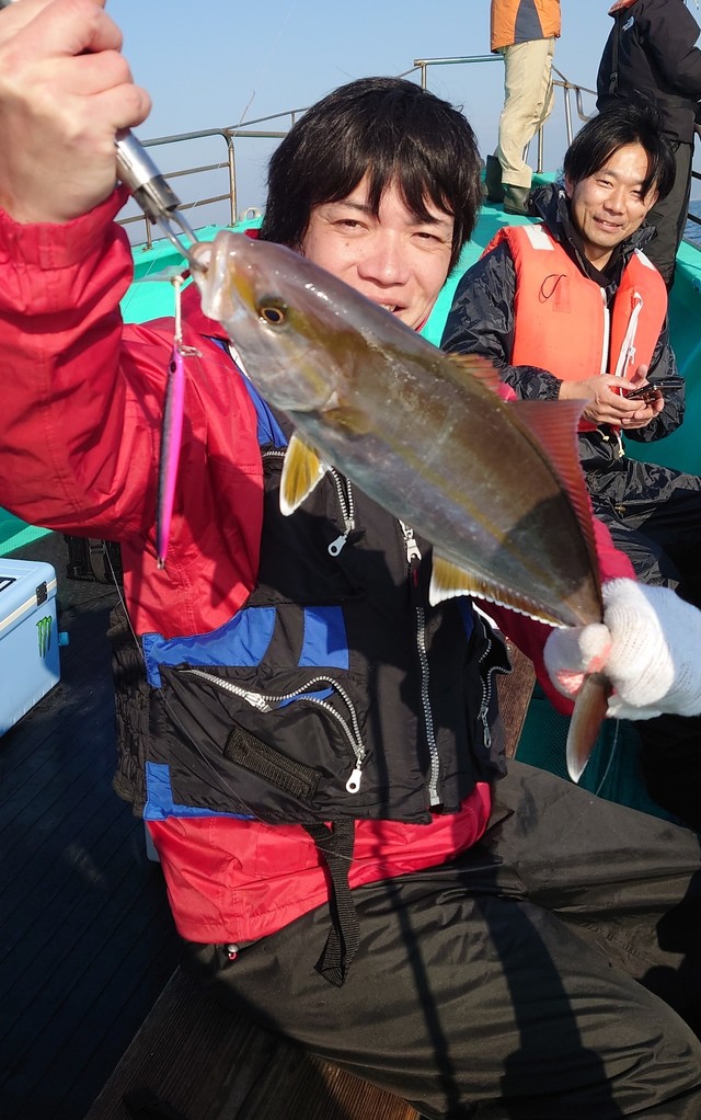 ショゴ(カンパチ)