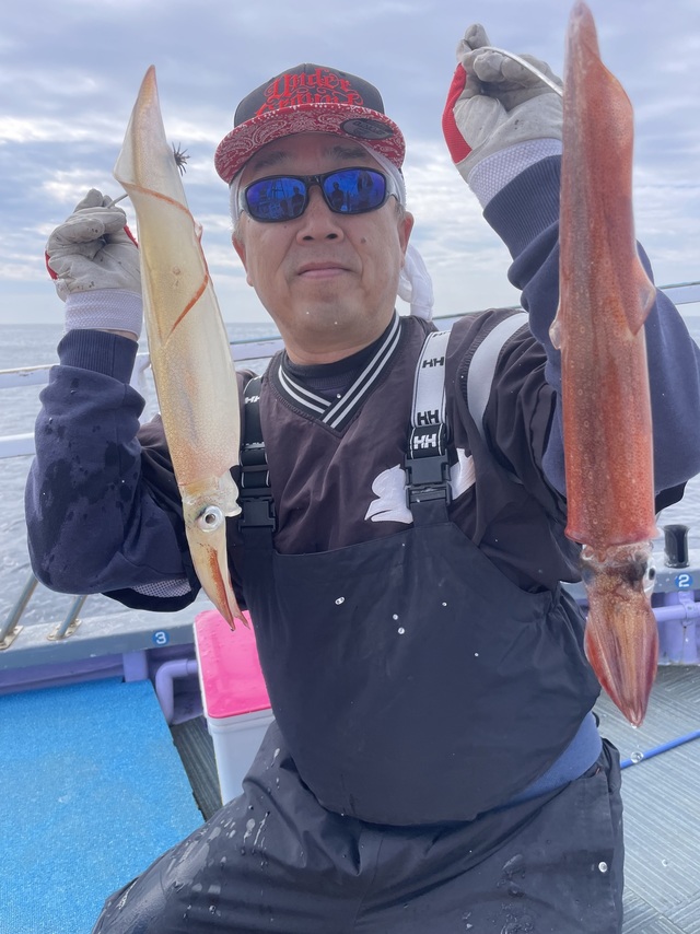 マルイカ(ケンサキイカ)