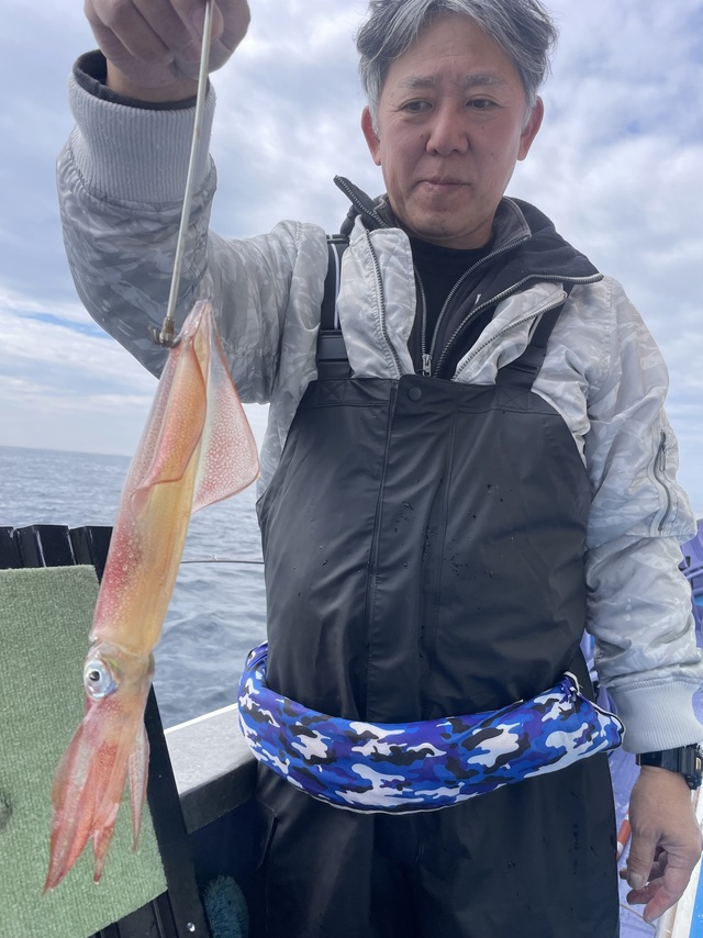 マルイカ(ケンサキイカ)