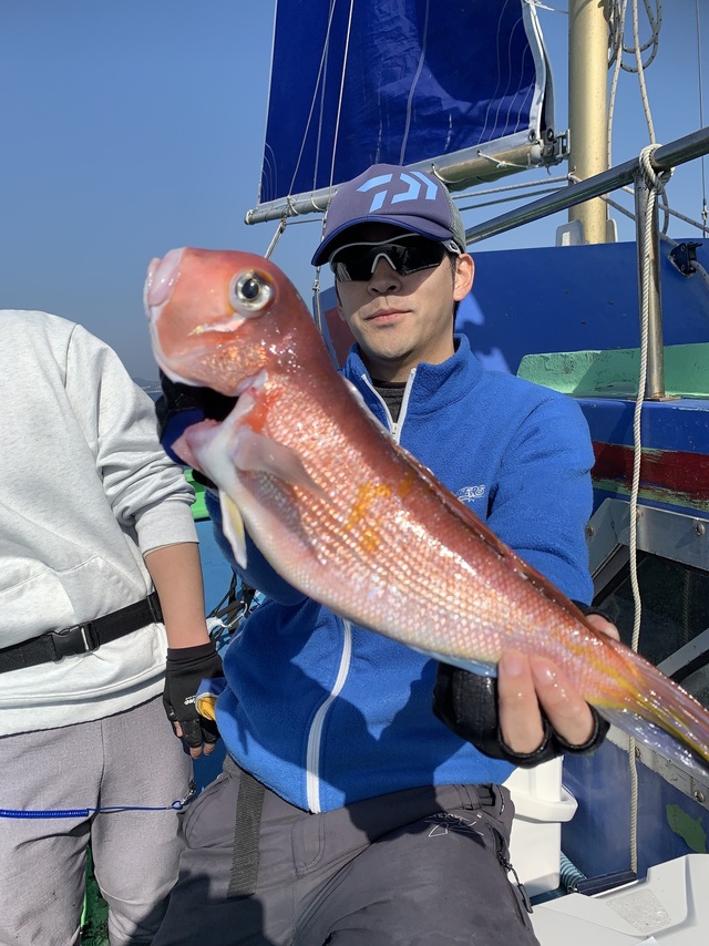 アマダイ(アカアマダイ)