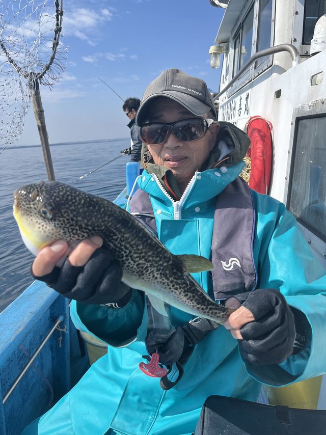 ショウサイフグ