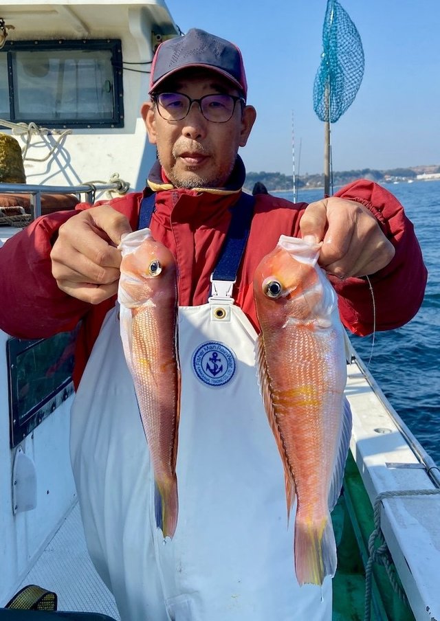 アマダイ(アカアマダイ)