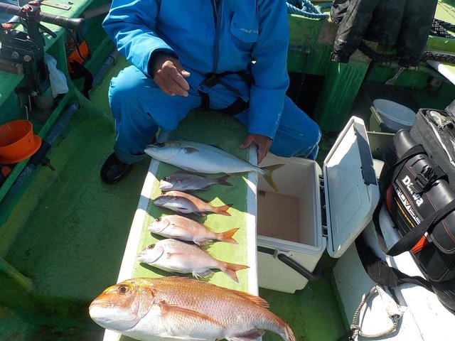 マダイ・イシダイ