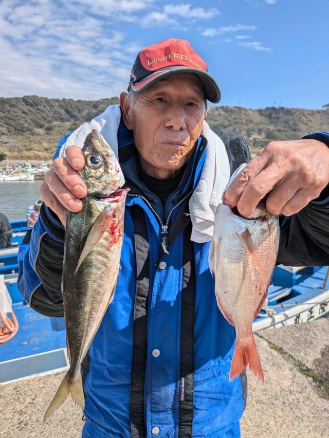 ハナダイ(チダイ)・アジ(マアジ)