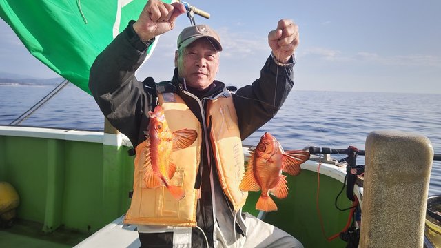 キントキ(チカメキントキ)