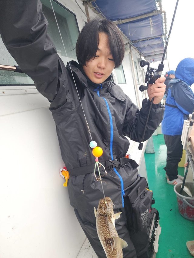 フグ(ショウサイフグ)