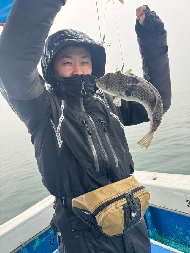 フグ(ショウサイフグ)