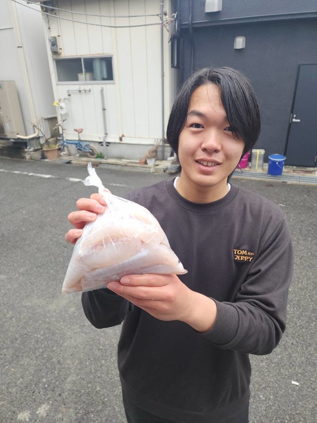 フグ(ショウサイフグ)