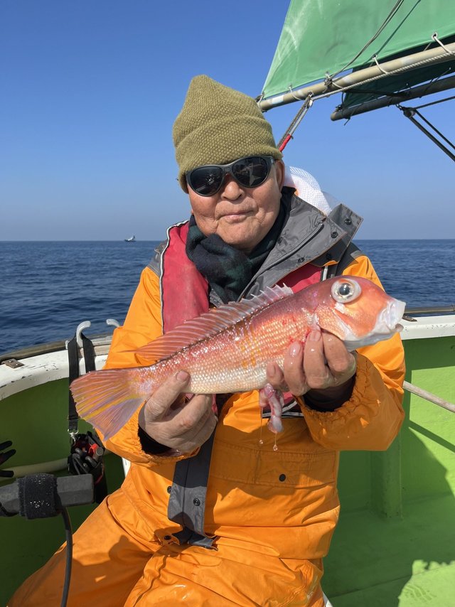 アマダイ(アカアマダイ)