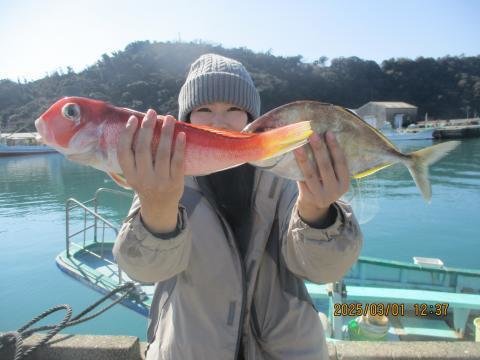 カイワリ・アマダイ(アカアマダイ)