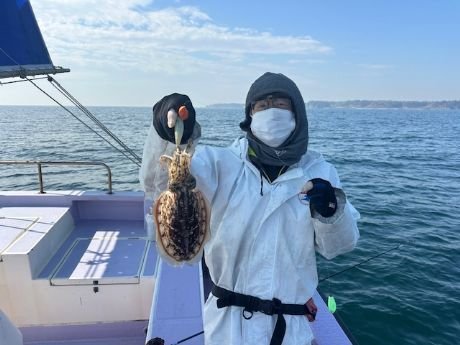 スミイカ(コウイカ)