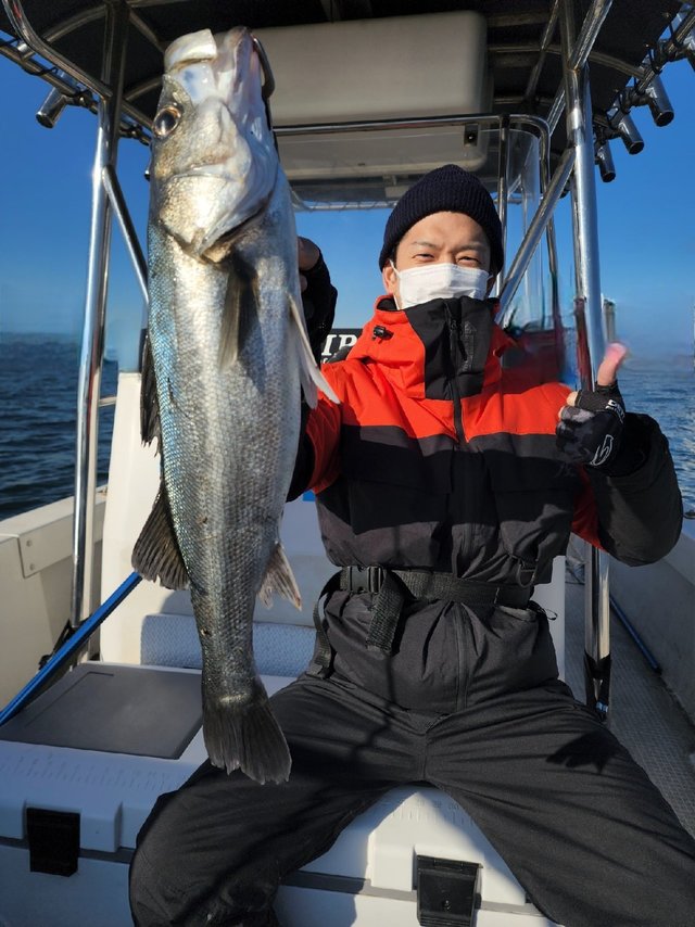 シーバス(スズキ)