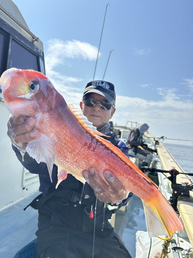 アマダイ(アカアマダイ)