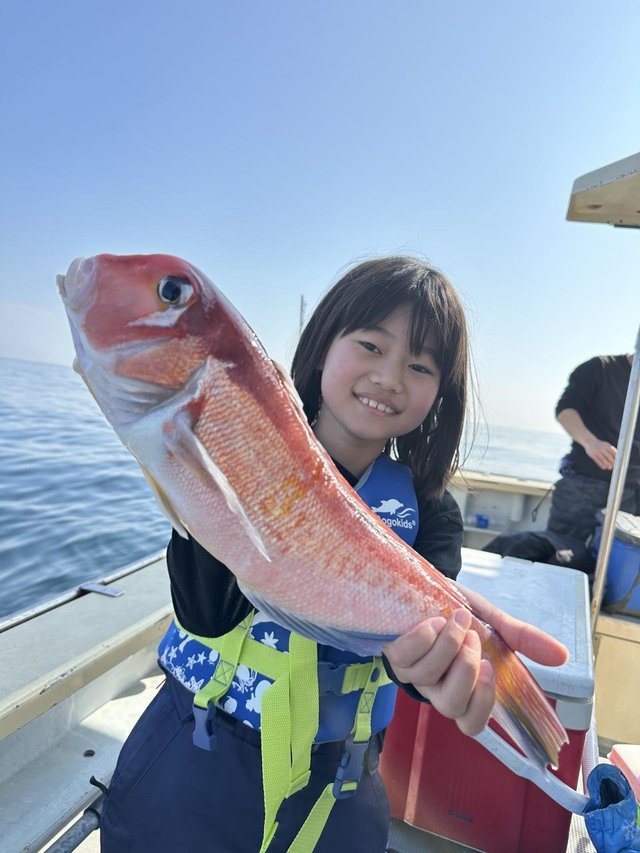 アマダイ(アカアマダイ)