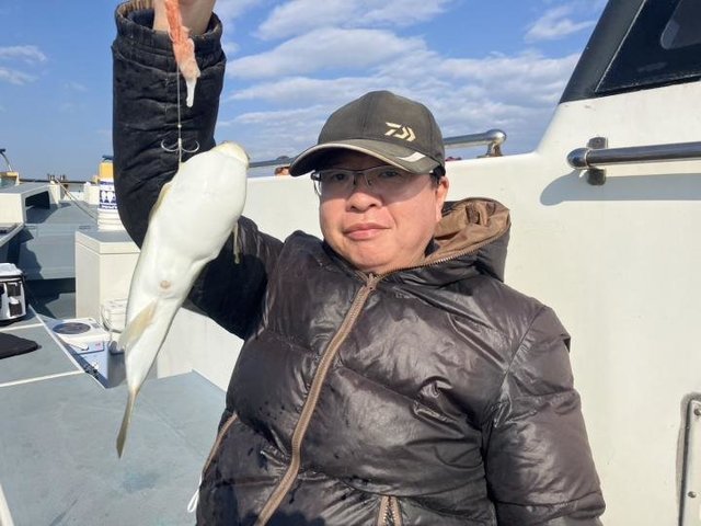 ショウサイフグ