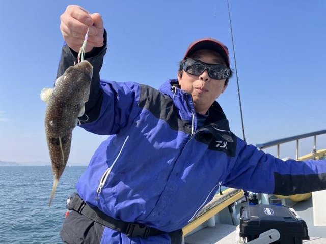 ショウサイフグ