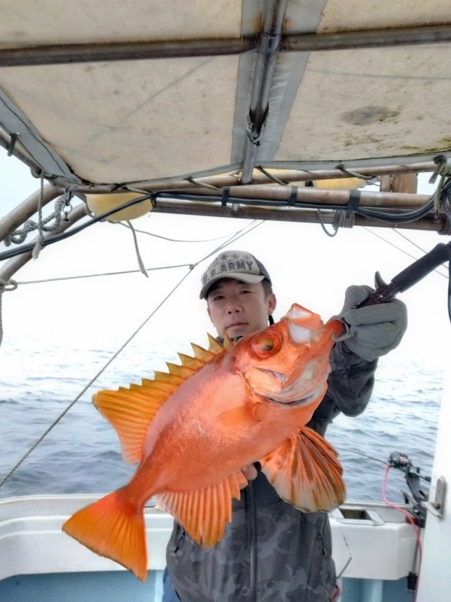 チカメキントキ