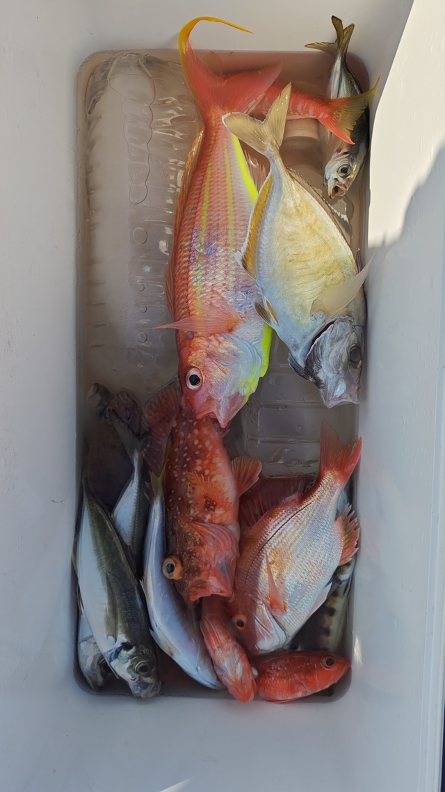 アジ(マアジ)・イトヨリ(イトヨリダイ)・オニカサゴ