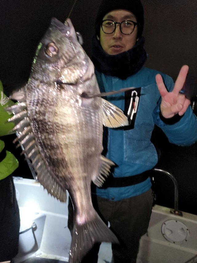 チヌ(クロダイ)