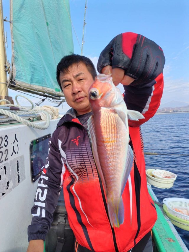 アマダイ(アカアマダイ)