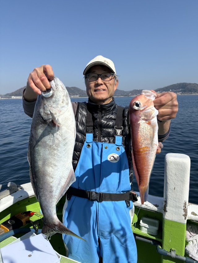 アマダイ(アカアマダイ)・メダイ