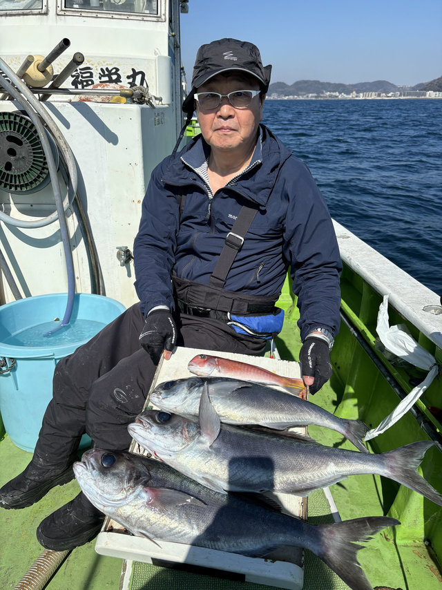 アマダイ(アカアマダイ)・メダイ