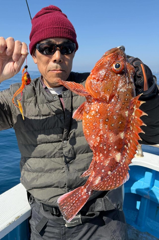 ウッカリカサゴ