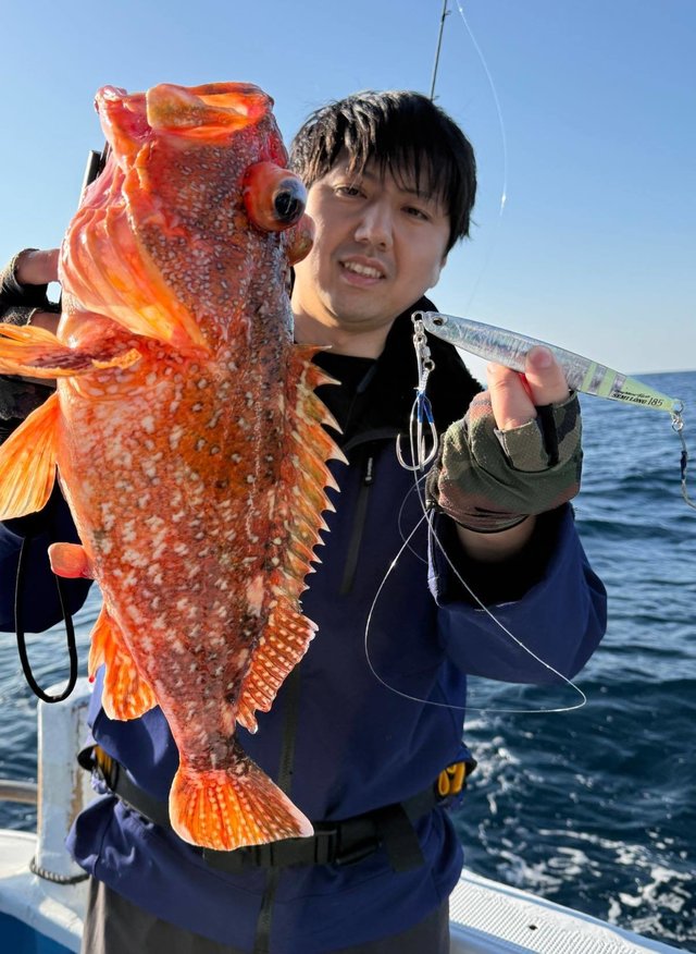 ウッカリカサゴ