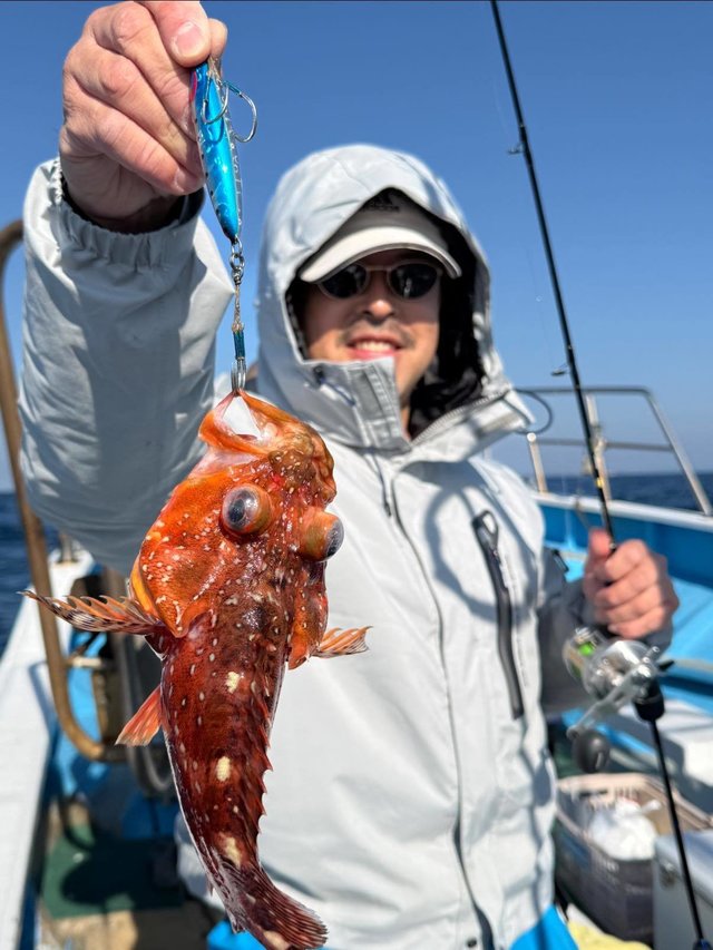 ウッカリカサゴ