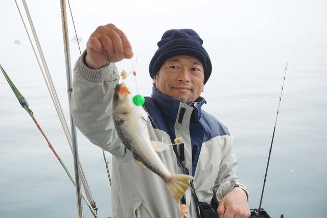 ショウサイフグ