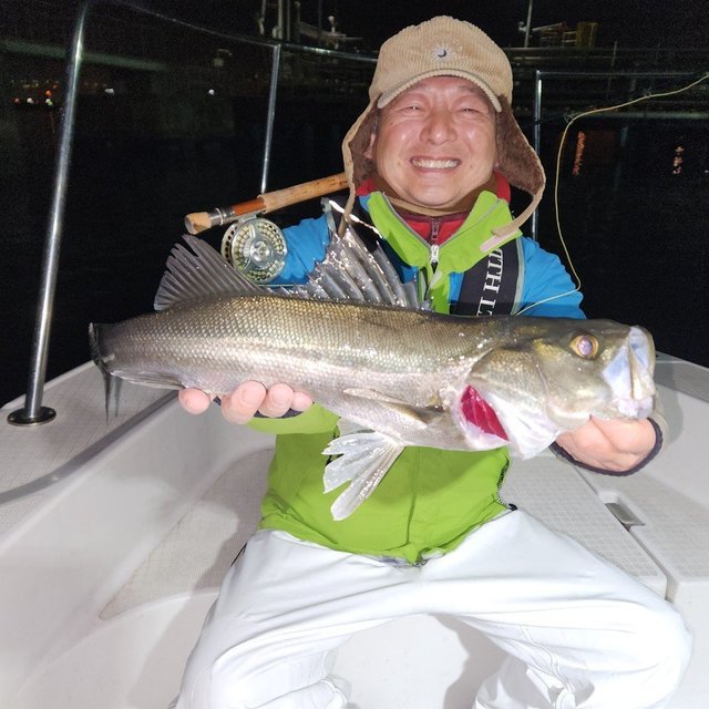 シーバス(スズキ)