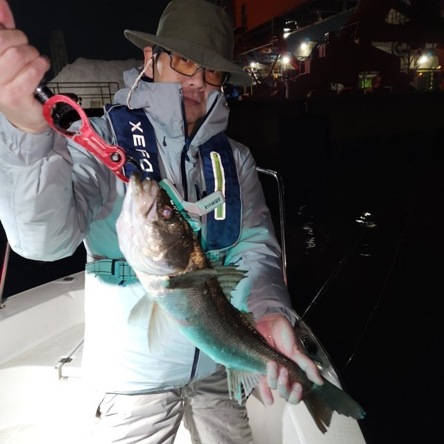 シーバス(スズキ)