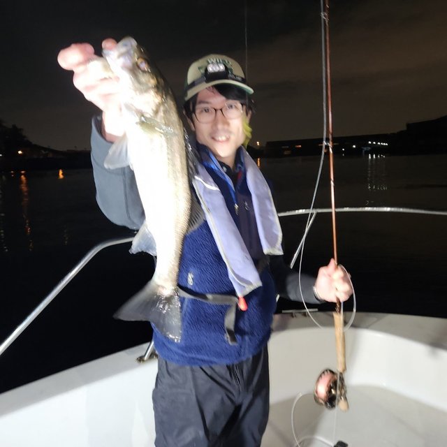 シーバス(スズキ)