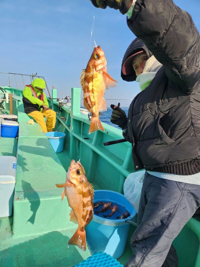 オキメバル(ウスメバル)