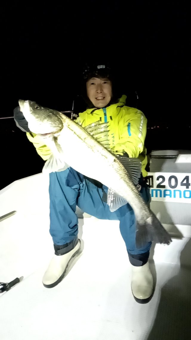 シーバス(スズキ)