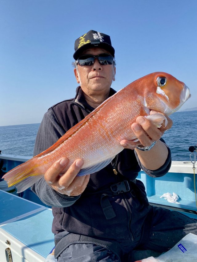 アマダイ(アカアマダイ)