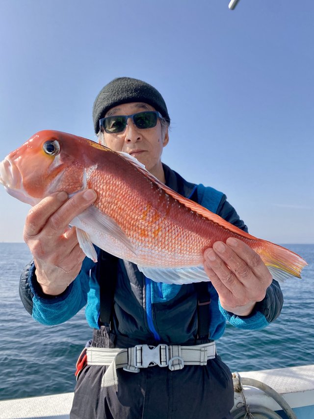 アマダイ(アカアマダイ)