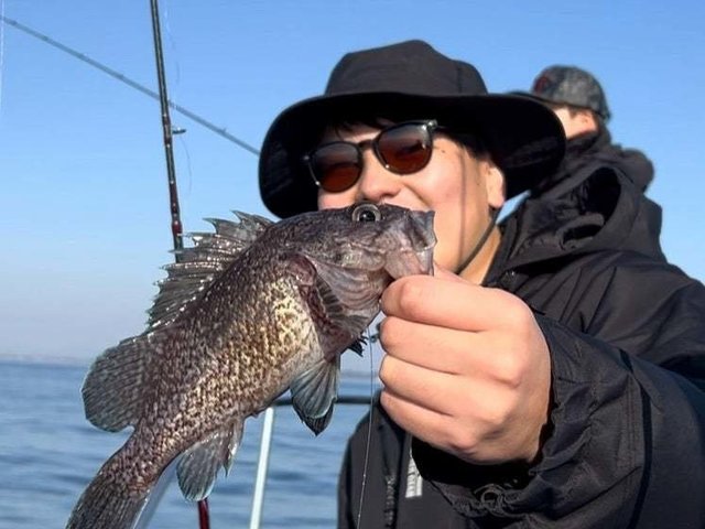 マゾイ(キツネメバル)