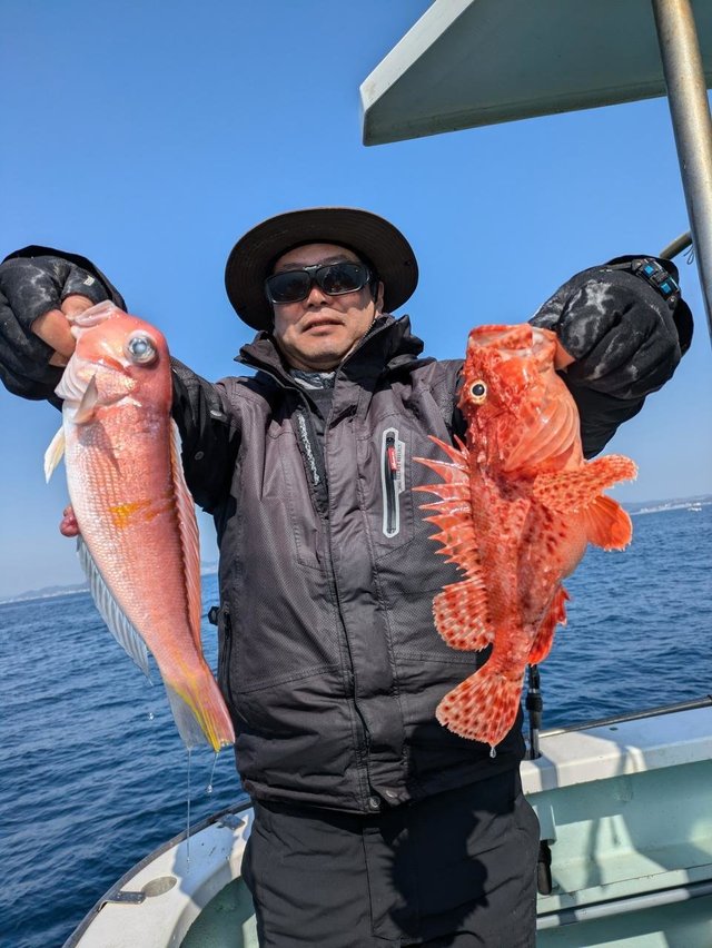 アマダイ(アカアマダイ)・オニカサゴ