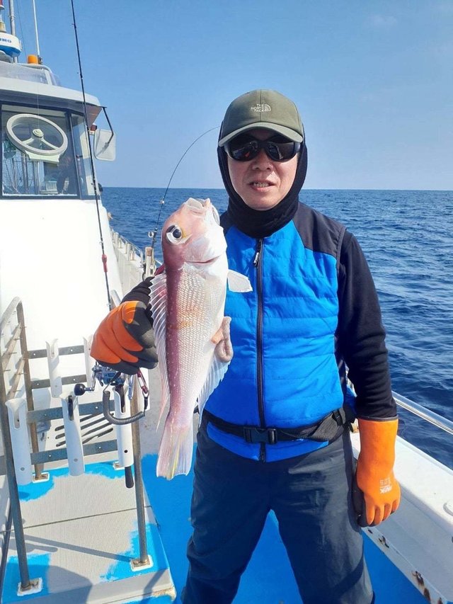 アマダイ(アカアマダイ)