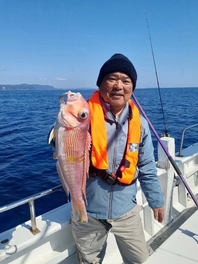 アマダイ(アカアマダイ)