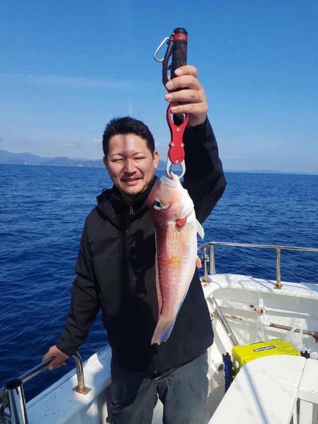 アマダイ(アカアマダイ)