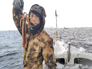 スルメ(スルメイカ)